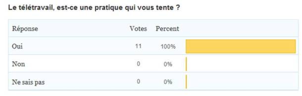 "Le télétravail, est-ce une pratique qui vous tente ?"